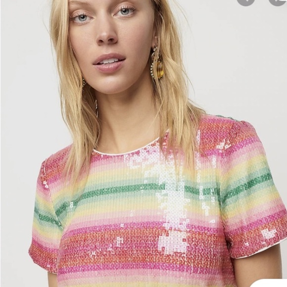 J Crew Dress Women's Sz 2 Watermelon Sequined Lined A-line MIdi Sparke NWT $129 - Picture 2 of 12